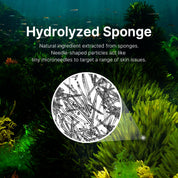 Zero Exosome Shot Réparation Cellulaire Et Glow