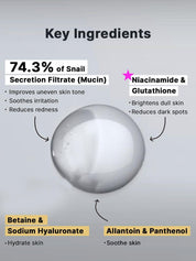Advanced Snail Radiance Dual Essence