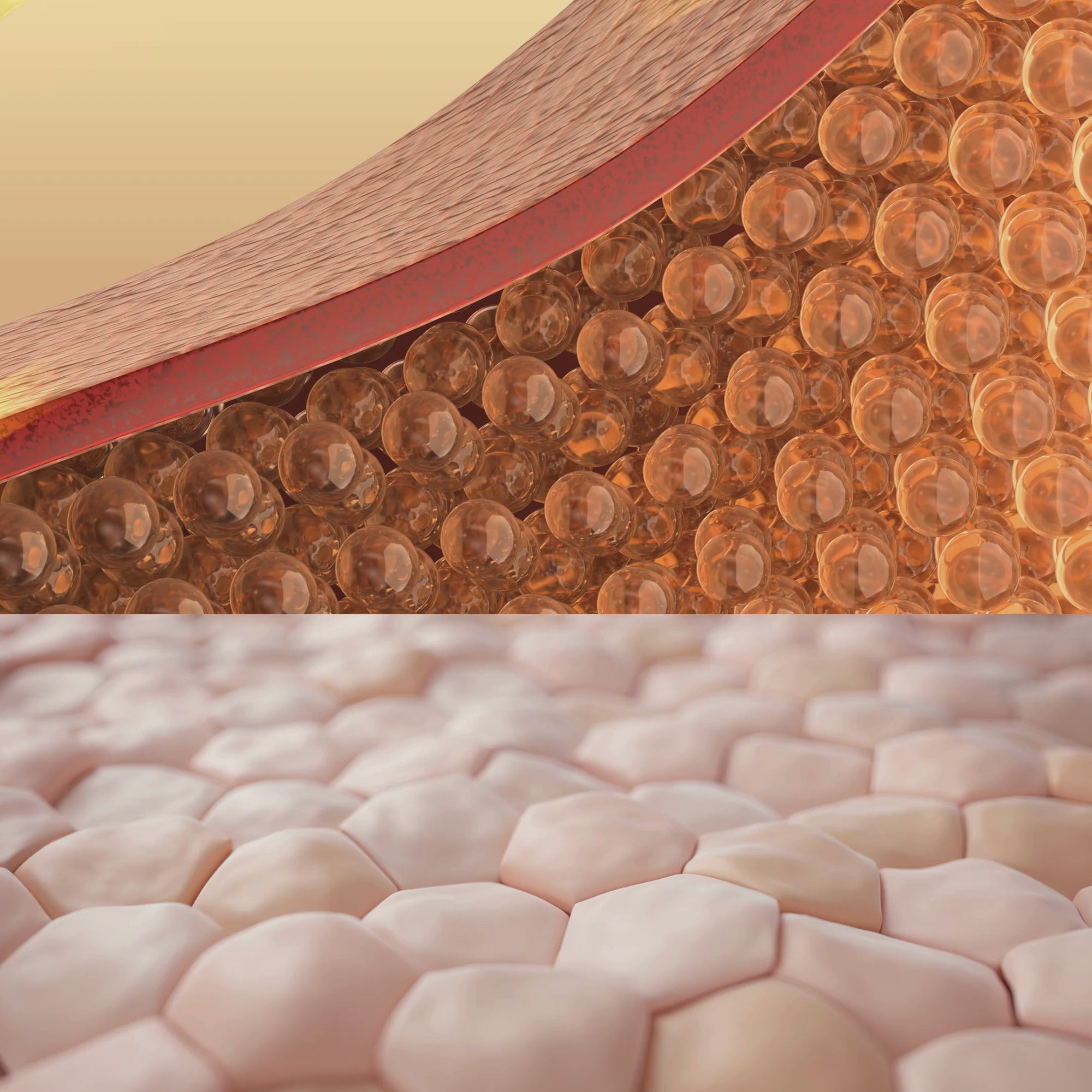 Routine Triple Collagène 5en1 : L'Effet Lifting Garanti en 7 Jours